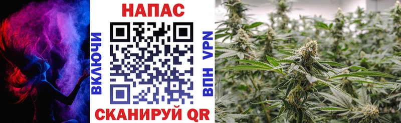 Конопля Ganja как найти закладки Сим